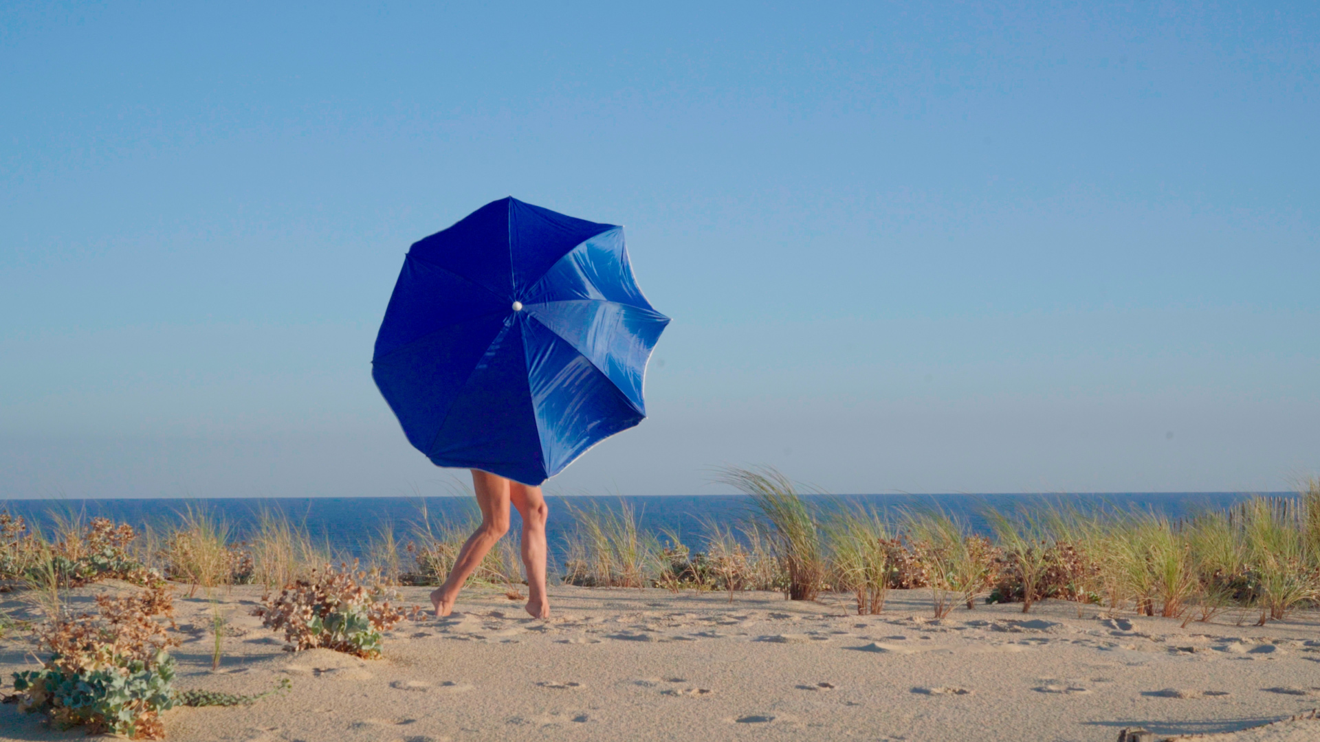 Parasol_still 01.jpg